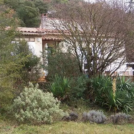 Homestay Dom L' Argo *