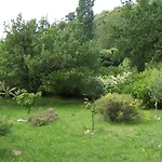 Dom L' Argo *