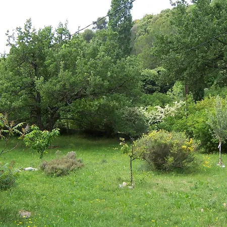 Dom L' Argo *