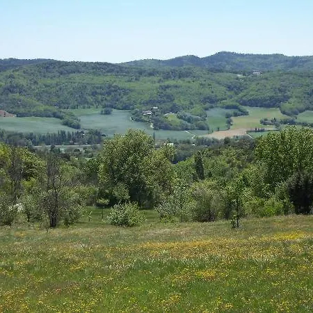Dom L' Argo