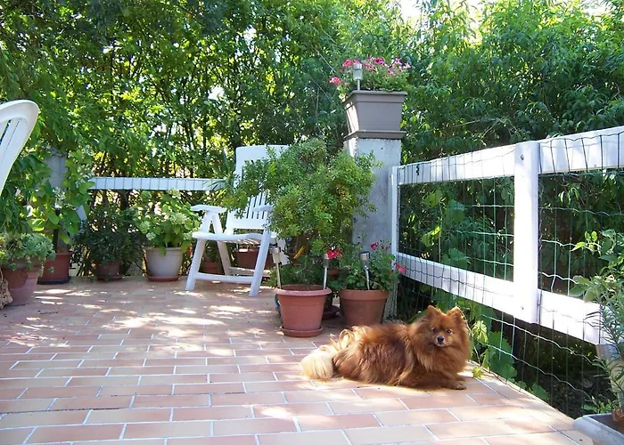 Dom L' Argo Reillanne